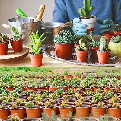 100 PCS 8 Inches Plastic Plant Nursery Pots Reusable for Succulents Seedlings Cuttings TransplantingSeedlings Plastic Plant Pots with Drainage Holes - view 6