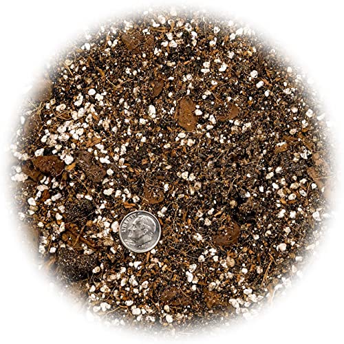 Premium Aroid Potting Mix - Soil Free Blend for Aroids - Growing Medium for House Plants - (1 Quart Bag) - view 4