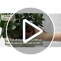 12 Pack Terracotta Watering Spikes, Vacation Self Watering Stakes - view 7