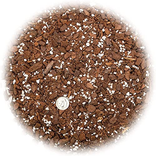 Premium Thai Constellation Monstera Soil Mix - Expertly Formulated for Strong and Healthy Roots - 2 Quart - view 3