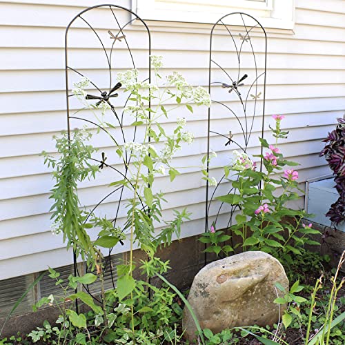 Sunnydaze 56" Black Metal Garden Trellis for Climbing Plants, 2-Pack - view 4