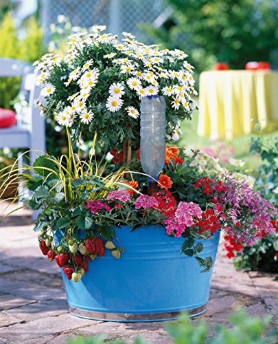 Plant Watering Device - Easy XL Self Watering Planter Insert for Indoor Plants - Bottle Adapter - Prevents Overwatering and Underwatering for Healthy Growth - 6 Pack - view 3