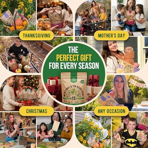 15 Medicinal & Tea Herb Seeds Variety Pack 6,420+ Non-GMO Heirloom Garden Seeds for Indoor & Outdoors, Including Anise, Borage, Cilantro, Chamomile, Dandelion, Rosemary Seeds - view 6