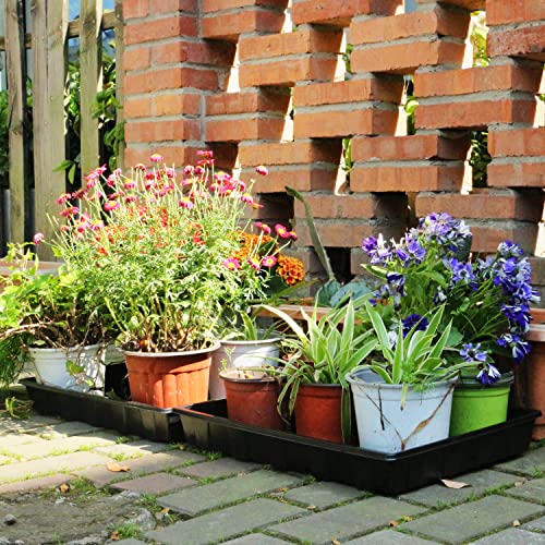 10 Pack Seed Trays, Reusable Plant Grow Trays, Ideal for Seed Starting, Microgreens, Indoor Gardening, and Greenhouse Plant Nurseries - No Drain Holes, 17.3" x 13" - view 3