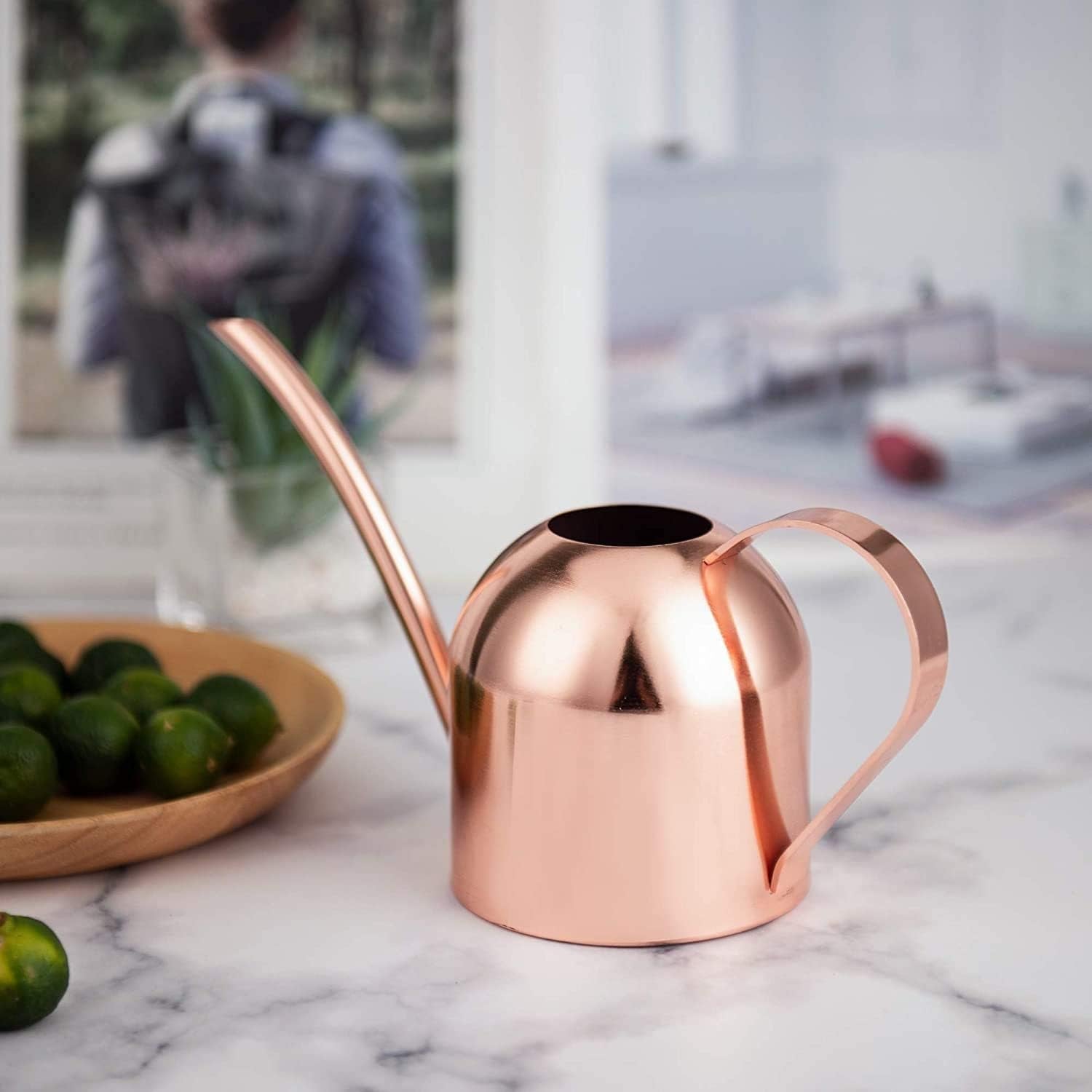 Mini Indoor Watering Can for Small Plants, Stainless Steel with Long Spout, 15oz/450ml – Perfect for Desk, Windowsill & Bonsai - view 5