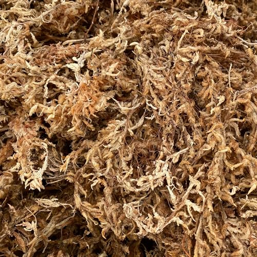 Premium Grade Sphagnum Moss for Orchids & Plants - 190 cu in - view 3
