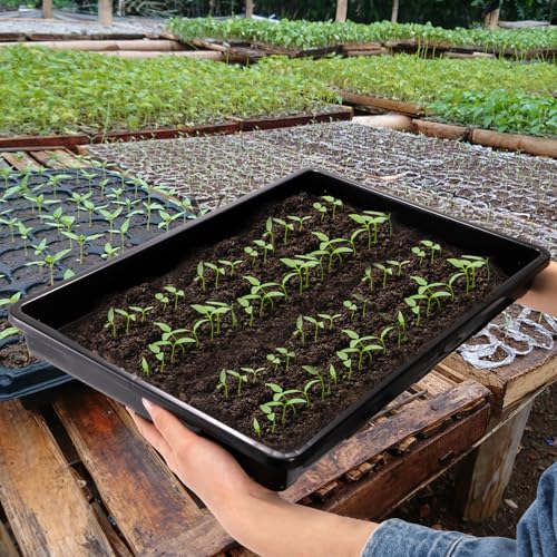 6 Pack Nursery Potting Trays with No Drain Holes - view 7
