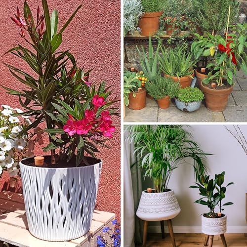 8pcs Ollas Self Watering Terracotta Planter Terra Cotta Clay Watering Spikes for Indoor Outdoor Plants - Large Reservoir Bulbs - view 6