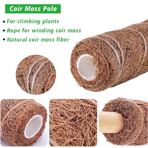 4 Pcs 15.7 Inch Coir Moss Totem Pole Monstera Plant Support with 2 Pcs 32.8ft Jute Rope, Plant Stakes for Indoor Plants Climbing, Support Extension(4 Packs 15.7 Inch) - view 4