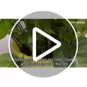 6 Pack U-Shape Acrylic Plant Trellis for Indoor Climbing Plants, 16 Inch Small Plant Trellis, Potted Plant Climber Support for Pothos, Vine Ivy, Houseplant - view 7