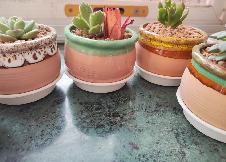 6 Pack 2.5 inch Plant Saucers Flower Pot Trays, Plastic Planter Drip Tray - view 5