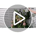 18"x22" Large Round Metal Garden Trellis for Climbing Plants - view 7