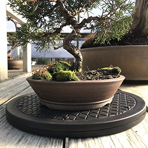 Mighty Mini Bonsai Tree Turntable 12.5" Base Stainless Steel Ball Bearings. Low Cost 200-Pound Capacity 360-Degree Rotation Allows Easy Pruning Or Great Bonsai Tree Displays - view 4