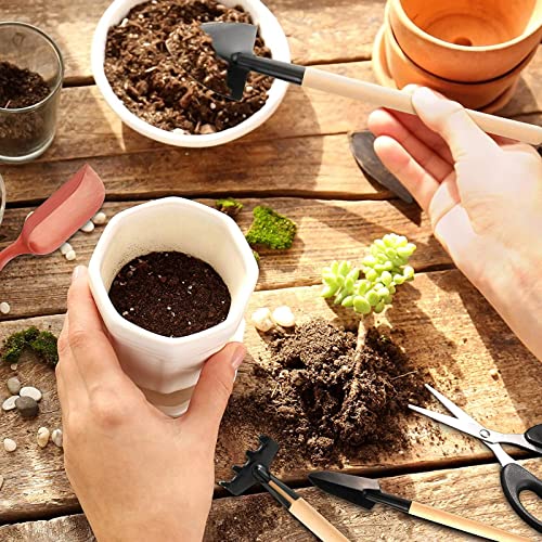 RoseFlower12 Pcs Mini Gardening Tools Set, Plants Care Tools Kit, Bonsai Mini Hand Transplanting Succulent Tools, Indoor Terrarium Tool Accessories, Garden Plant Care Tool Kit, Gardening Accessories - view 5
