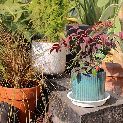 12 Pack 4.55 Inch White Plastic Round Plant Pot Saucer - view 3
