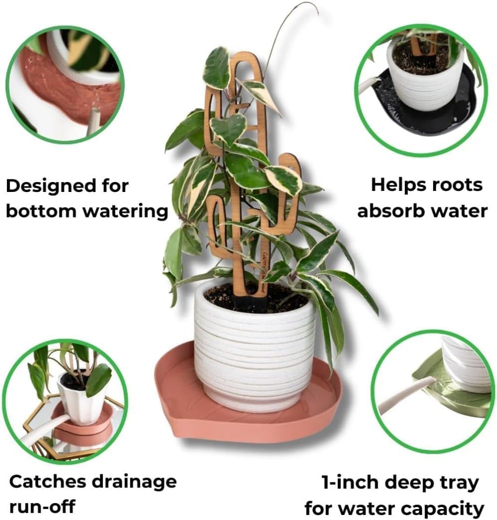 Mia Bottom Watering Plant Saucer – 6 inches Self-Watering Plant Tray for Indoor Plants, Leaf-Shaped Pot Saucer with Water Reservoir for Healthy Root Growth - Green (2 Pack) - view 5