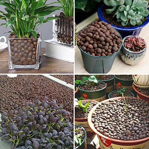 2LBS Leca Expanded Clay Pebbles Hydroponics Supplies for Indoor Garden Plants (2LBS) - view 5