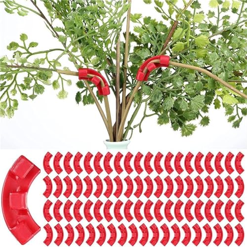 Branch bender 150Pcs 90 Degree Branches Clips Fruit Tree Plant Vines Curving Shapers Twisting Styling Bonsai Curved Elbow Garden Tools for Plant Bonsai Garden Home(Green) - view 3
