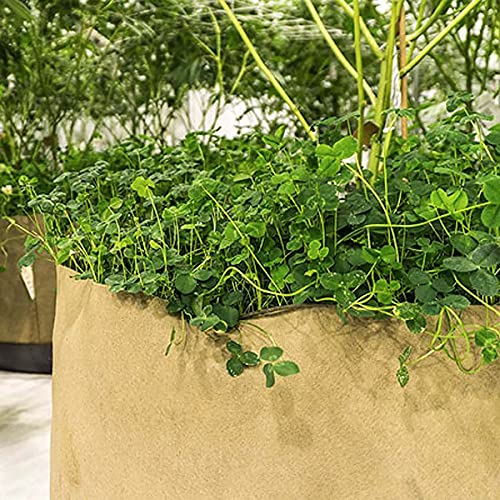 Blumat Grow Bags - 65-Gallon Fabric Pots for Plants - Breathable Waterproof Cloth Pots with MoistureLock Technology - Promotes Strong and Healthy Roots - view 3