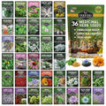Ultimate Medicinal Herb Seeds, 36-Variety Heirloom Non-GMO Pack