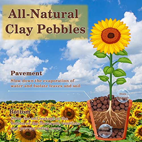 2LB Leca Clay Pebbles for Plants, 4mm-16mm Clay Balls for Hydroponic - view 3