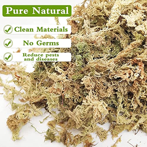 4 Quarts Natural Sphagnum Moss Potting Mix & 2 Pack Premium Coco Coir Brick for Plants- Potting Soil Mix Planting Growing Medium for Plants Gradening - view 4