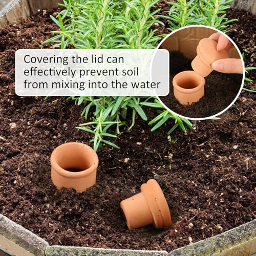 2 pcs Large 10x5in Ollas Terracotta Watering Pots Self Watering Planter Insert 1.8L Terra Cotta Clay Watering Spikes Automatic Plant Watering Devices for Outdoor & Indoor Plants Self-irrigate - view 5