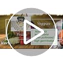 144 Varieties Non-GMO Seed Vault for All USDA Zones - view 7