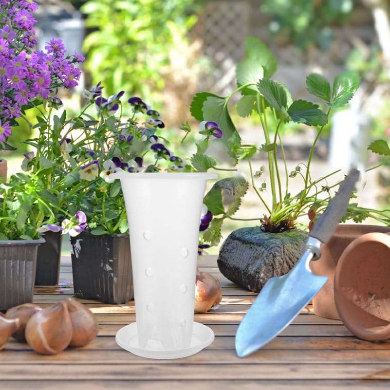 Clear Orchid Pots with Drainage Holes and Saucers 4-Pack Breathable Plastic Plant Nursery Pots for Indoor Plants Succulents and Orchids 8.66X5.31X5.31 Inch - view 5