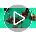 Plant Repotting Mat for Garden, 2 Pcs Waterproof Potting Mat Foldable Indoor Plant Mats Portable Square Gardening Mat Potting Tray with 6 Pcs Mini Garden Tools Set for Plant Lovers Gardening Gifts - view 7
