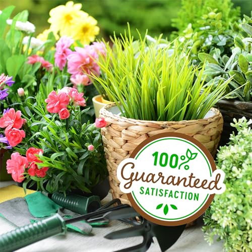 100% Organic Vermiculite | Made in the USA | Premium Nutrition for Indoor and Outdoor Plants - view 6