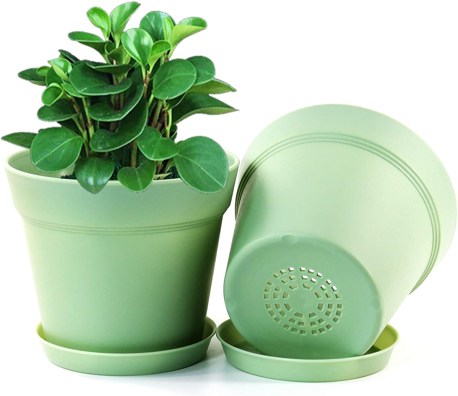 16 Pack 6 inch Plastic Planters, Indoor Flower Pots, Heavy Duty and Stylish 6 Inch Plant Pots for Indoor Plants with Drainage Holes and Tray for Plants, Flowers, Colorful - view 4
