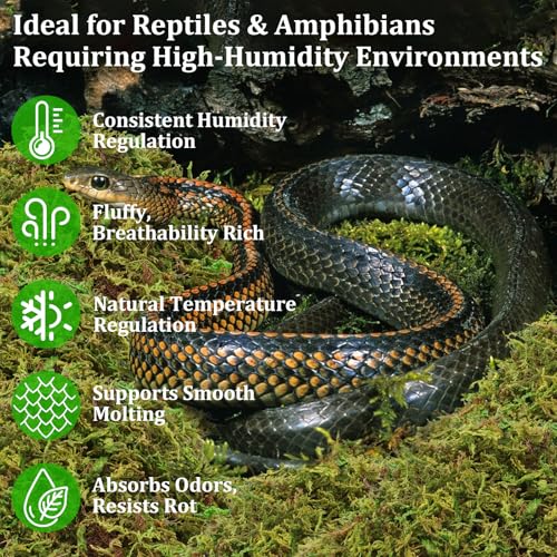 8OZ Sphagnum Moss for Reptiles- 10QT Natural Reptile Moss Bedding - view 3