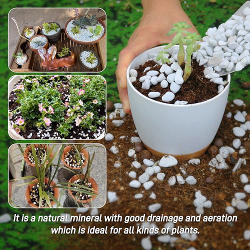 3 Quarts Chunky Perlite for Plant Soil Amendment for Potting Soil, Improves Drainage and Aeration for Soil, Ideal for Succulents, Orchid, Flower Plants (1/4 inch) - view 6
