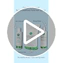 Fiddle Leaf Fig Welcome Bundle - view 7