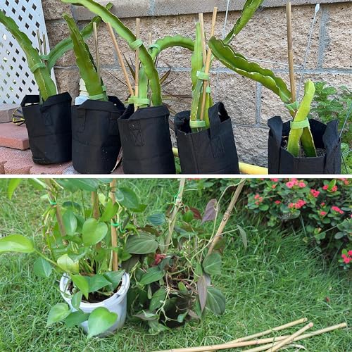 50Pcs / 18 inch Bamboo Plant Stakes for Indoor Outdoor Plants, Garden Plant Support Sticks, Poles for Tomato Vegetables Beans Trees Potted Climbing Plants(0.32''-0.4'') - view 6