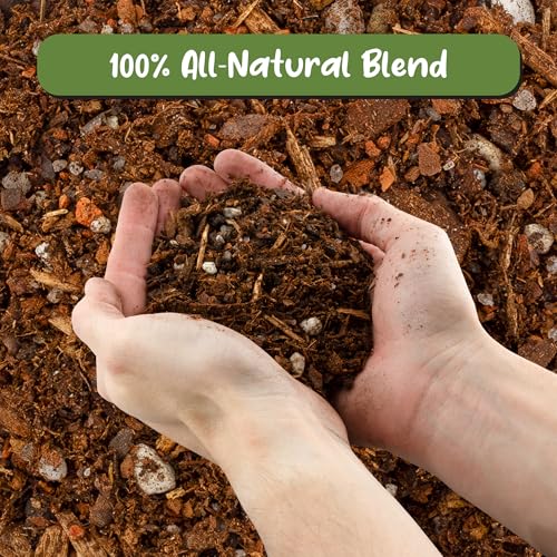 Cactus and Succulent Potting Mix (8 Quarts) Special Blend-Fast Draining and Desert-Style Gritty - view 3