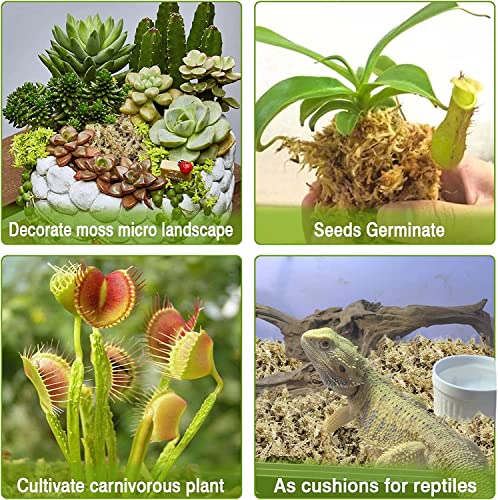 4 Quarts Natural Sphagnum Moss Potting Mix & 2 Pack Premium Coco Coir Brick for Plants- Potting Soil Mix Planting Growing Medium for Plants Gradening - view 6
