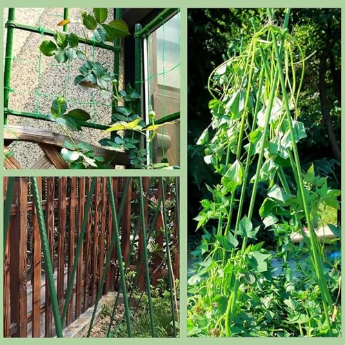 Garden Stakes 48 Inches Sturdy Green Plant Sticks 25 Pack, Metal Tomato Stakes Support, Yard Plant Support Cage for Potted Plants, Tomatoes, Trees, Cucumber, Fences, Beans (48 inch) - view 4