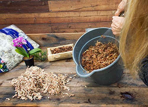 (22325) Orchid Sphagnum Moss Dried, Natural, 1 Pound Mini Bale - view 6