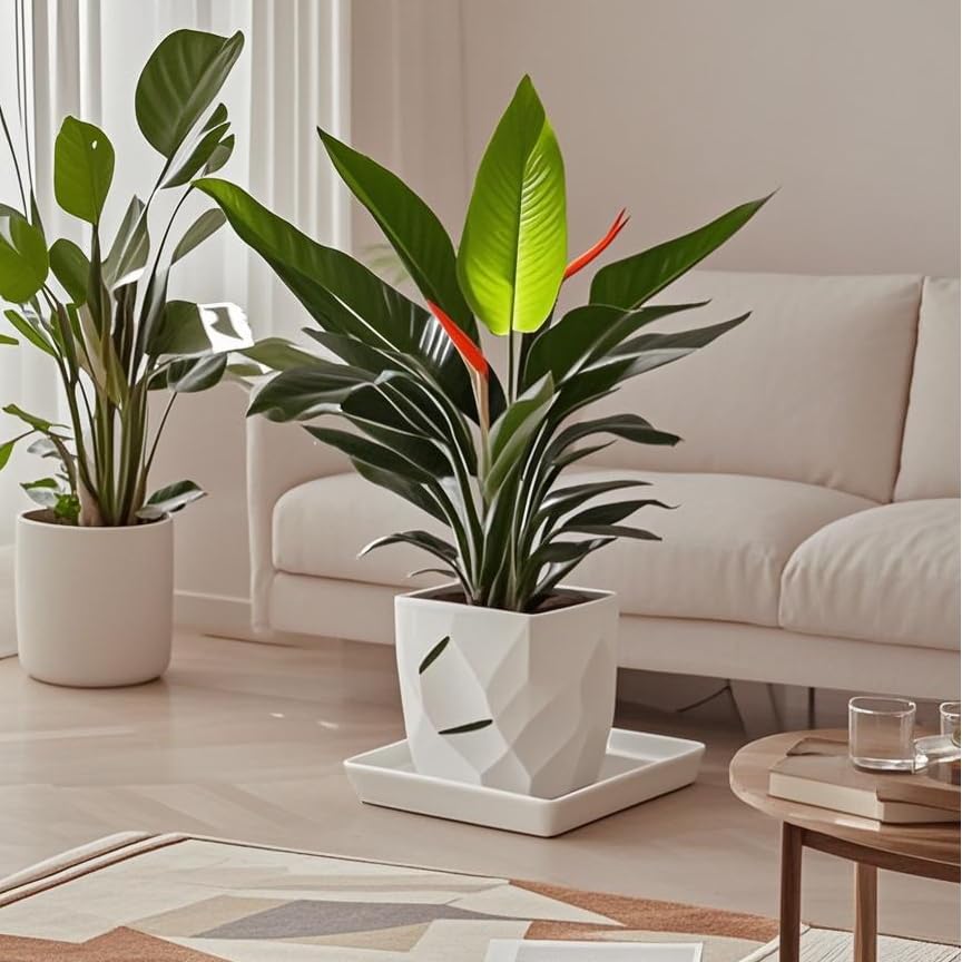 Square Ceramic Plant Saucer Tray 10 11 12 Inch White,12.4" OD x10.8 ID x1.4 Deep| Sturdy Heavy Duty Glazed Planter Drip Flower pots with Catch Basin for Indoor Outdoor Plants(12" White) - view 5
