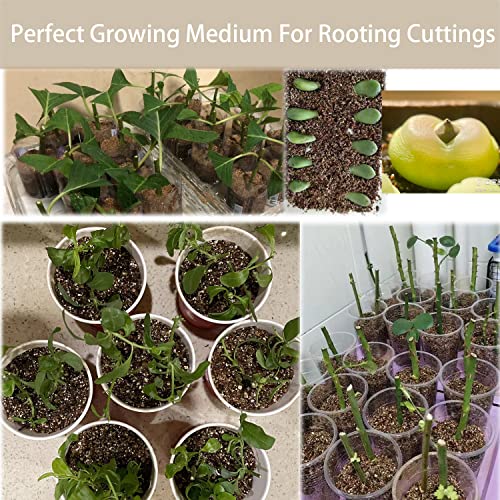 Coarse Vermiculite for Plants Organic Occurring Mineral Potting Mix Medium for Potted Plants, Hydroponics, Terrariums, Orchids, Mushroom Or Reptile Habitats (15QT) - view 5