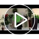 Cube Cottage 40 Granite, Self-Watering Square Planter, H15.7 L15.4 W15.4 in - view 7