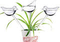 Glass plant watering globes, self watering globes bird shape, self watering planter insert, plant watering devices, automatic plant waterer indoor, watering bulbs, 3 pack