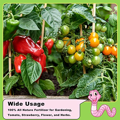 Worm Castings Organic Fertilizer 2.2LB, All Nature Fertilizer for Gardening, Tomato, Strawberry, Flower, and Herbs - view 5