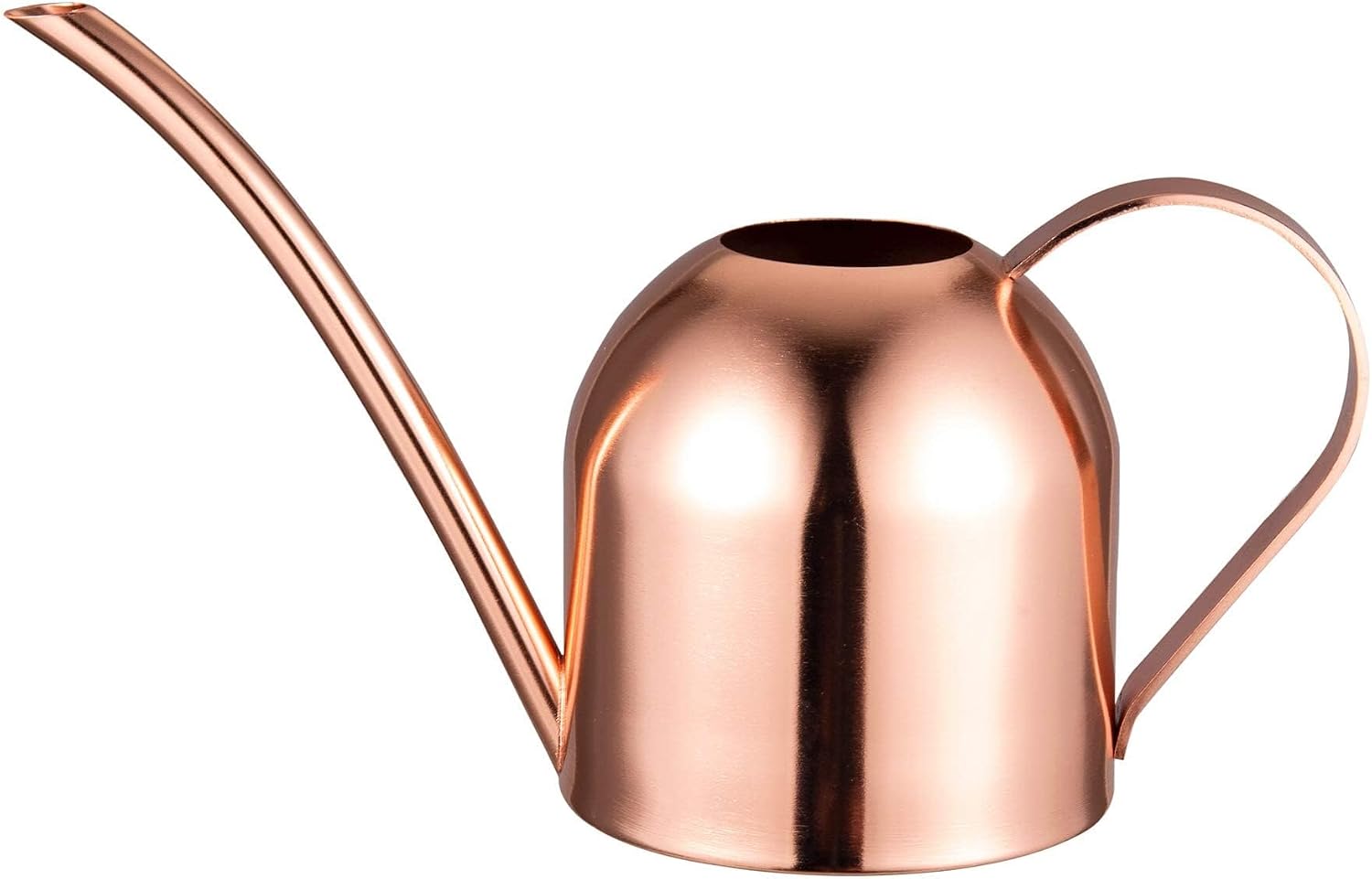 Mini Indoor Watering Can for Small Plants, Stainless Steel with Long Spout, 15oz/450ml – Perfect for Desk, Windowsill & Bonsai