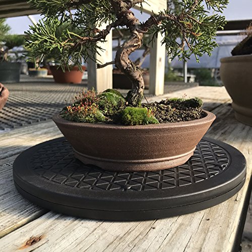 Mighty Mini Bonsai Tree Turntable 12.5" Base Stainless Steel Ball Bearings. Low Cost 200-Pound Capacity 360-Degree Rotation Allows Easy Pruning Or Great Bonsai Tree Displays - view 5
