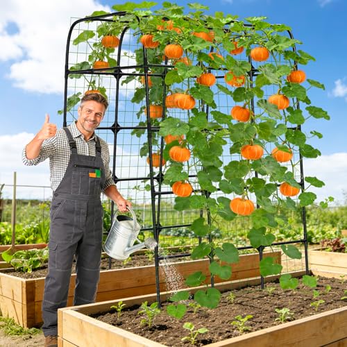 7FT Garden Trellis Arch for Climbing Plants – Tall Outdoor Metal Trellis for Vegetables, Peas, Tomatoes,﻿ Cucumber Trellis Arch & Vertical Garden Climber Plant Support for Vine Plants - view 5