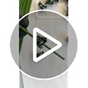 40-PCs Orchid Clips for Plants Support - Dark Green, for Small - Middle Climbing Plants Vine Plants & Single Stem Plants - view 7