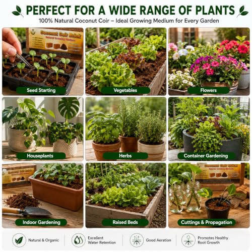 Coco Coir Bricks for Plants, 3.3 lb 2-Pack Compressed Coconut Coir, Natural Growing Medium for Potting Mix, Seed Starting, Raised Beds & Gardening (3.3 LB) - view 6
